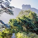 ZAF WC CapeTown 2016NOV14 KNBG 006 : 2016, 2016 - African Adventures, Africa, November, South Africa, Southern, Western Cape, Cape Town, Kirstenbosch National Botanical Garden